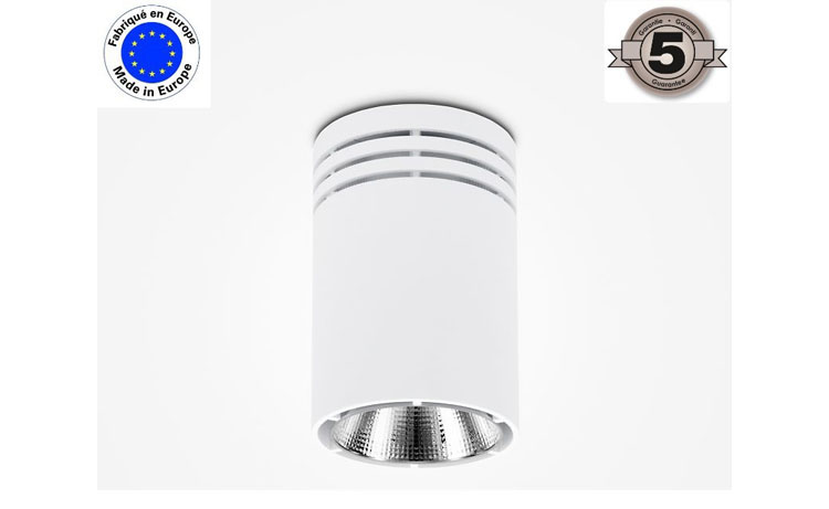 COLIDN29B8445: LUMINAIRE LED SAILLIE 29w 45° BLANC NEUTRE 4000K